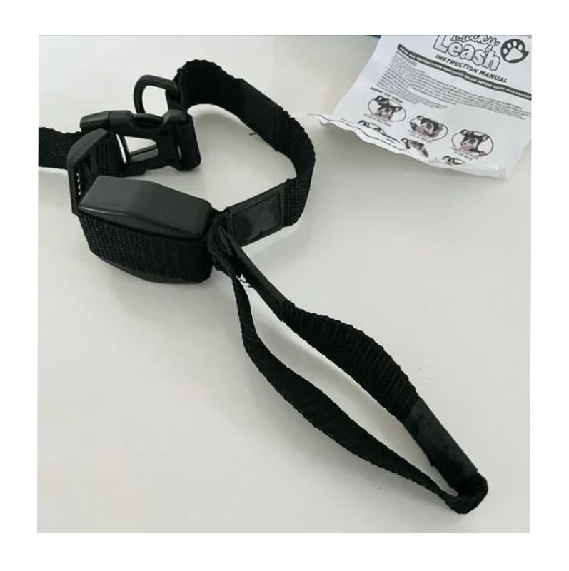 Collar Para Perro Con Correa Retráctil Cachorro