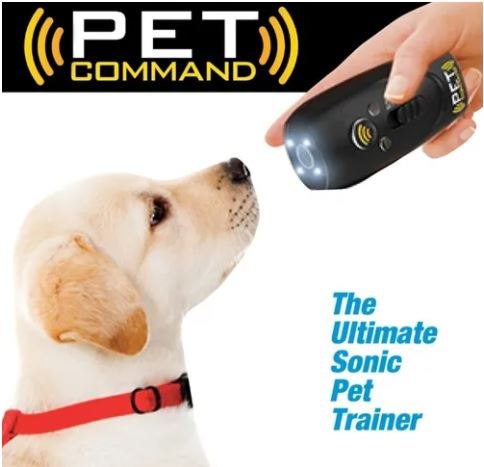 ADIESTRADOR DE PERROS