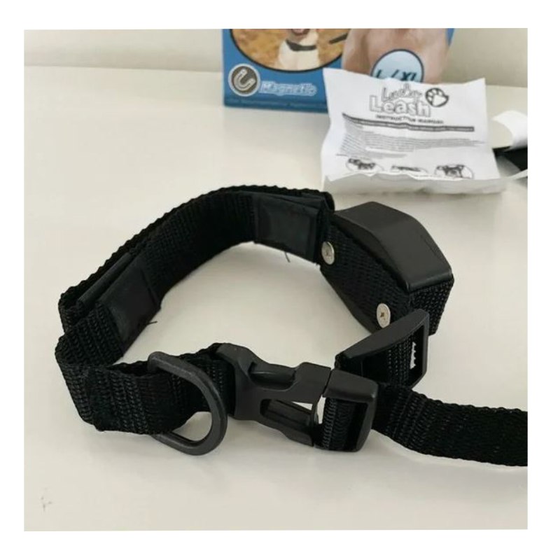 Collar Para Perro Con Correa Retráctil Cachorro
