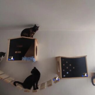 GIMNASIOS DE PARED