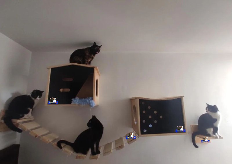 GIMNASIOS DE PARED