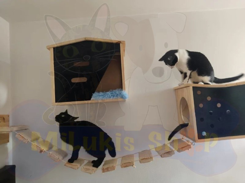 GIMNASIOS DE PARED