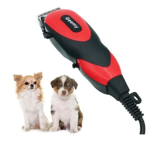 PELUQUERA GEEMY PERRO